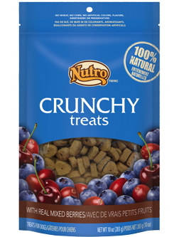 Nutro Crunchy Dog Treats