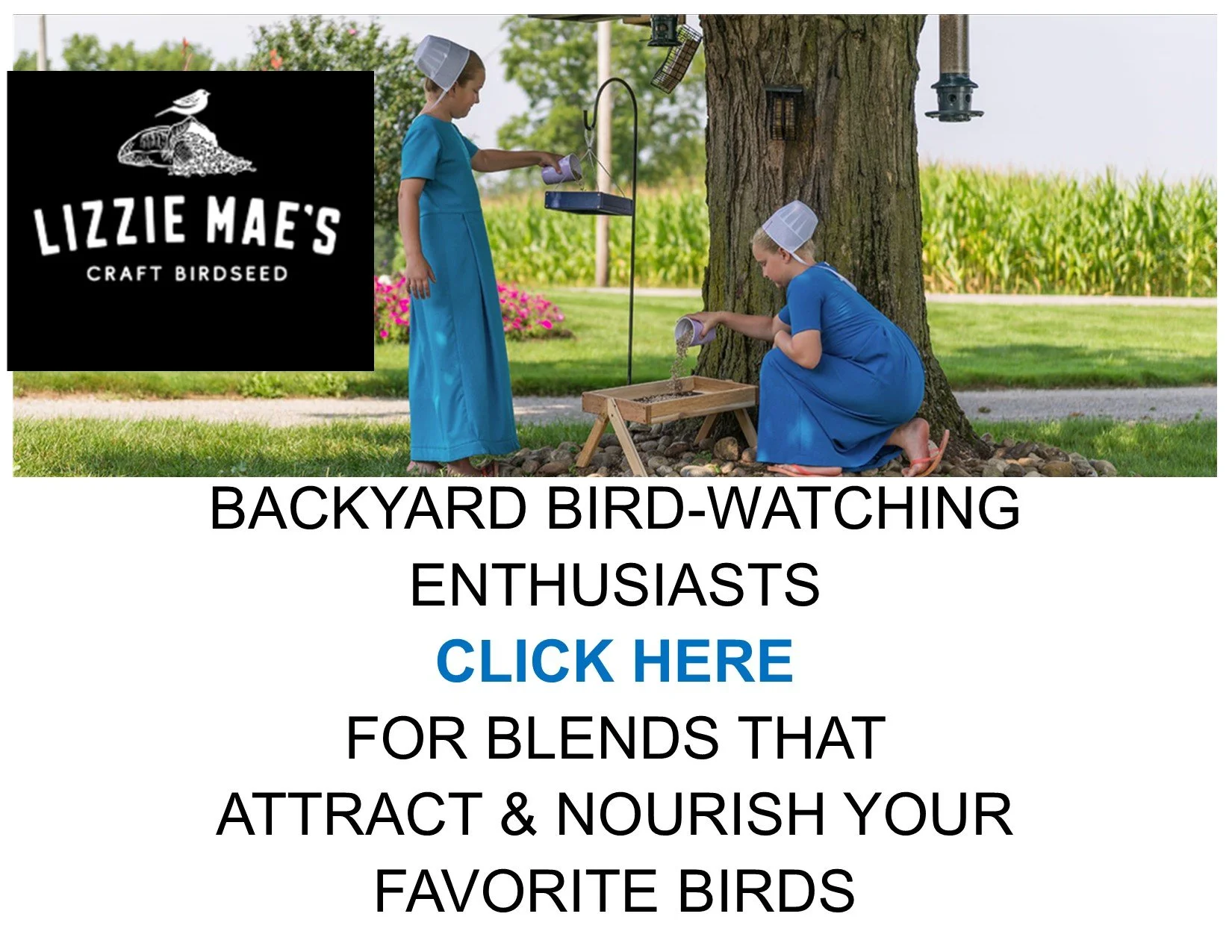 Lizzie Mae's Bird Seed