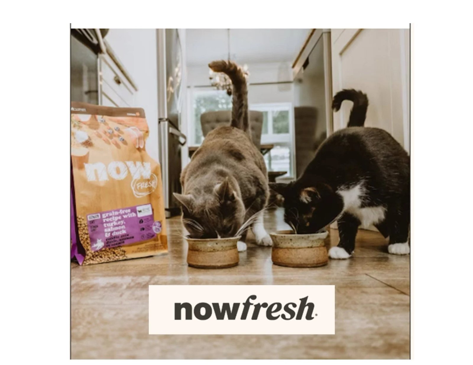 Now Fresh Cat Food